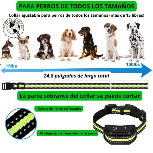 "Entrenador Canino Colombia: Collar Eficaz para Tu Perro"